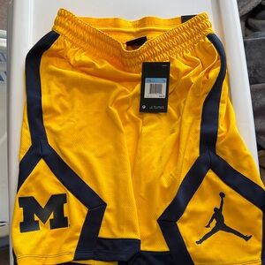 Jordan Men's michigan basketball Shorts in Yellow and Navy